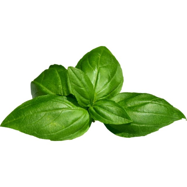basil