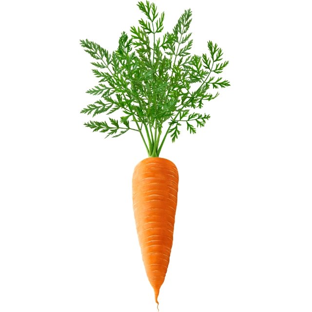 carrot