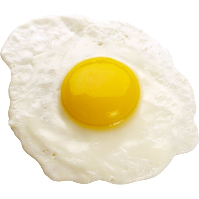 egg