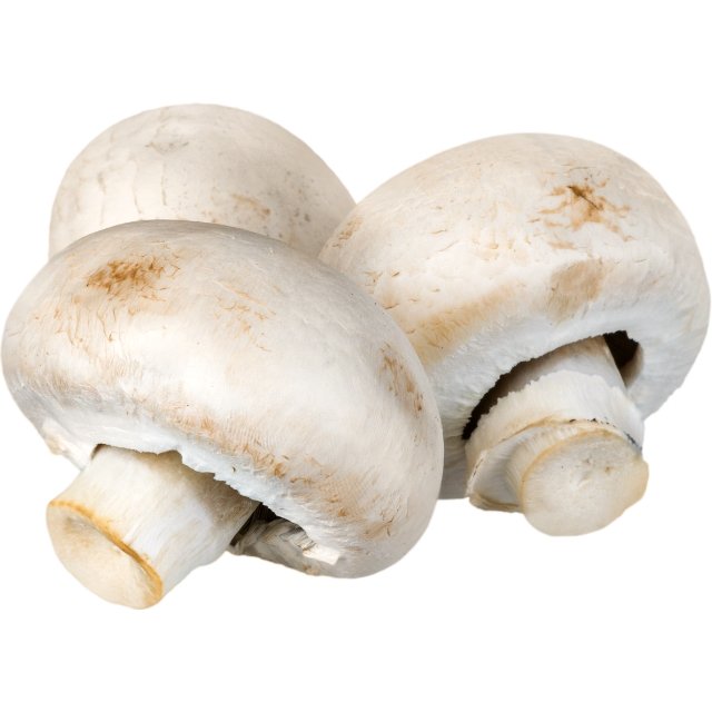 mushroom